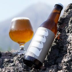 1117 / WEIZEN 6本セット