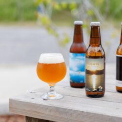 IPA飲み比べセット