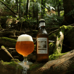 MIST ISLAND / IPA 6本セット