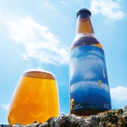 MIST ISLAND / IPA 6本セット