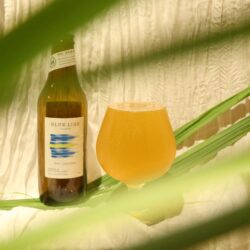 BLUE LINE - Lemongrass- / PILSNER 6本セット