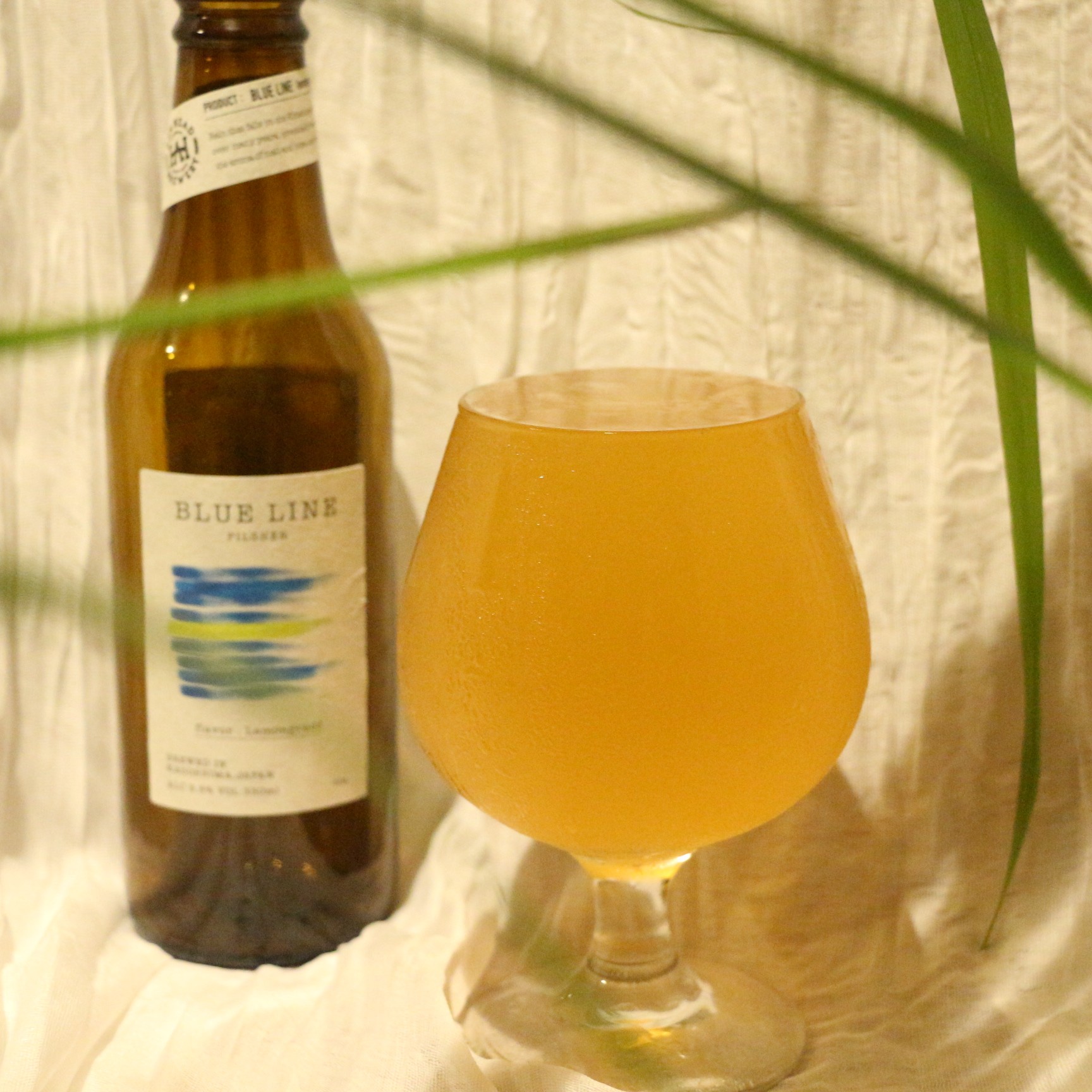 BLUE LINE - Lemongrass- / PILSNER 6本セット - 画像 (3)