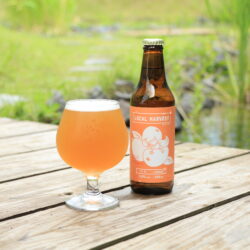 【限定】LOCAL HARVEST -びわ-  /  Kölsch -6本セット