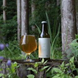【限定】FOREST / WEST COAST IPA - 6本セット