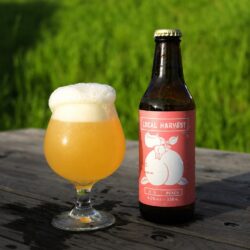 【限定】LOCAL HARVEST -もも- / SAISON - 6本セット